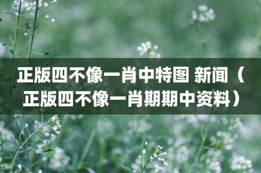 正版四不像一肖中特图 新闻（正版四不像一肖期期中资料）