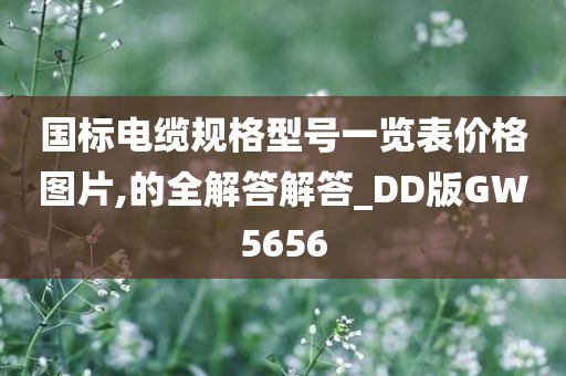 国标电缆规格型号一览表价格图片,的全解答解答_DD版GW5656