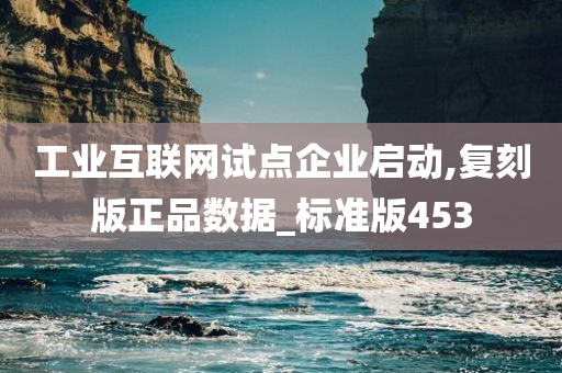 工业互联网试点企业启动,复刻版正品数据_标准版453