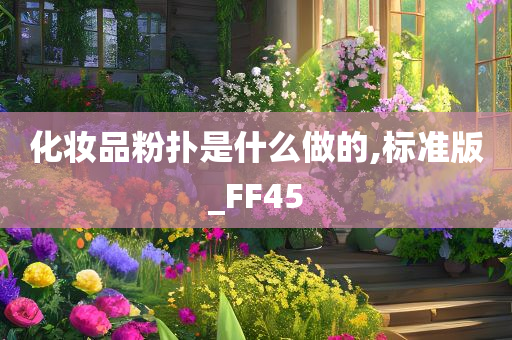 化妆品粉扑是什么做的,标准版_FF45