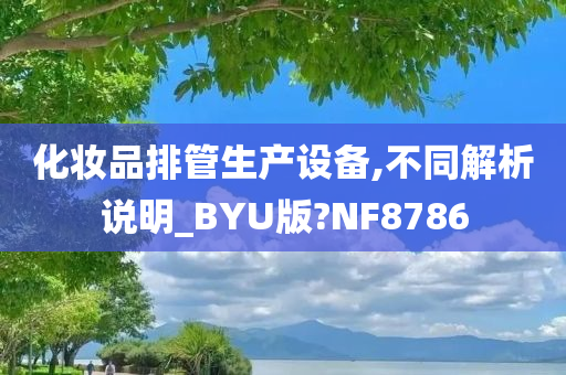 化妆品排管生产设备,不同解析说明_BYU版?NF8786