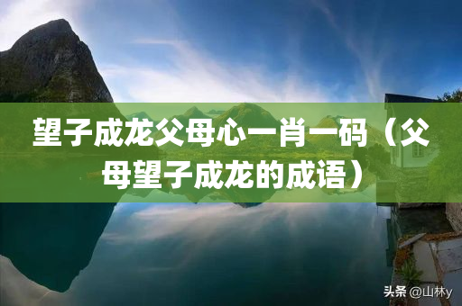 望子成龙父母心一肖一码（父母望子成龙的成语）