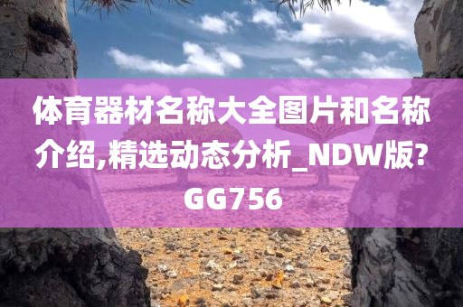 体育器材名称大全图片和名称介绍,精选动态分析_NDW版?GG756