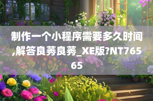 制作一个小程序需要多久时间,解答良莠良莠_XE版?NT76565