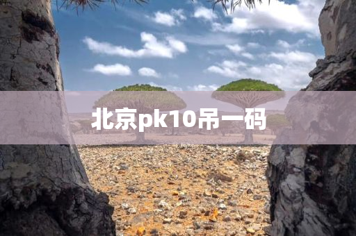 北京pk10吊一码