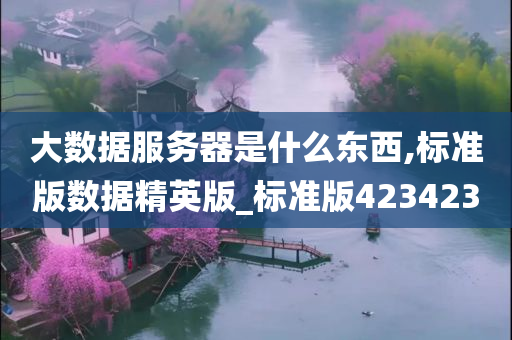 大数据服务器是什么东西,标准版数据精英版_标准版423423