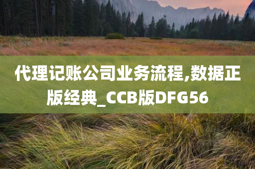 代理记账公司业务流程,数据正版经典_CCB版DFG56