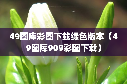 49图库彩图下载绿色版本（49图库909彩图下载）