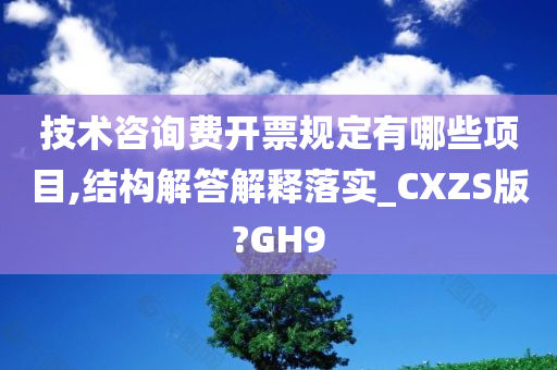 技术咨询费开票规定有哪些项目,结构解答解释落实_CXZS版?GH9