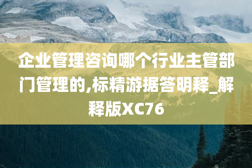 企业管理咨询哪个行业主管部门管理的,标精游据答明释_解释版XC76