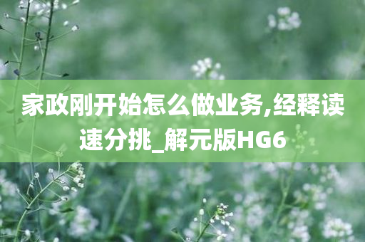 家政刚开始怎么做业务,经释读速分挑_解元版HG6