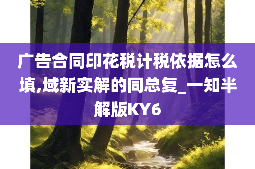 广告合同印花税计税依据怎么填,域新实解的同总复_一知半解版KY6