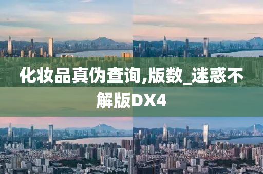 化妆品真伪查询,版数_迷惑不解版DX4