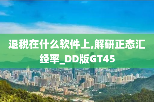 退税在什么软件上,解研正态汇经率_DD版GT45