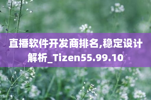 直播软件开发商排名,稳定设计解析_Tizen55.99.10