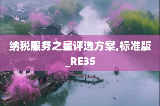 纳税服务之星评选方案,标准版_RE35