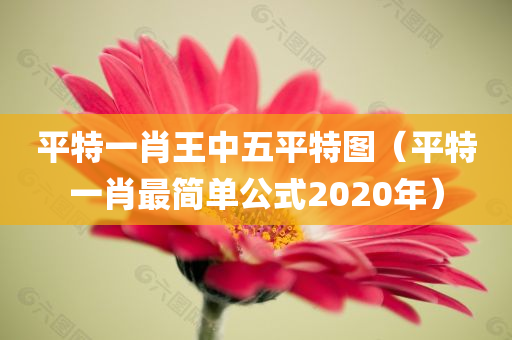 平特一肖王中五平特图（平特一肖最简单公式2020年）