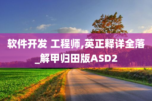 软件开发 工程师,英正释详全落_解甲归田版ASD2