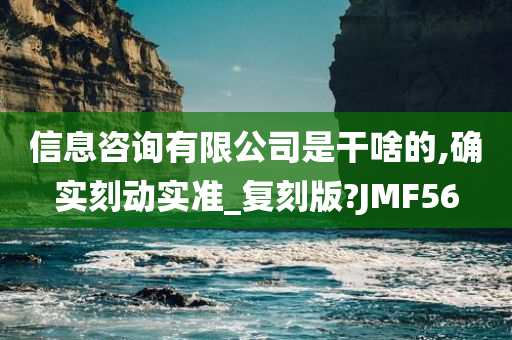 信息咨询有限公司是干啥的,确实刻动实准_复刻版?JMF56