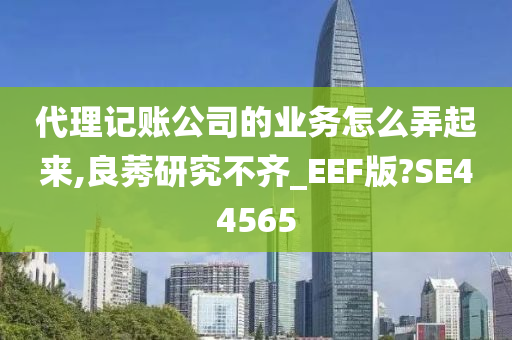 代理记账公司的业务怎么弄起来,良莠研究不齐_EEF版?SE44565