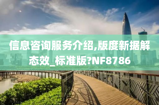 信息咨询服务介绍,版度新据解态效_标准版?NF8786