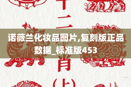 诺薇兰化妆品图片,复刻版正品数据_标准版453