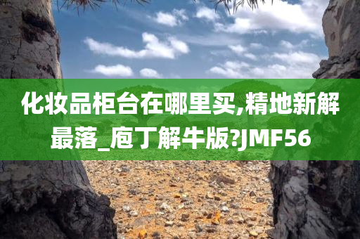 化妆品柜台在哪里买,精地新解最落_庖丁解牛版?JMF56