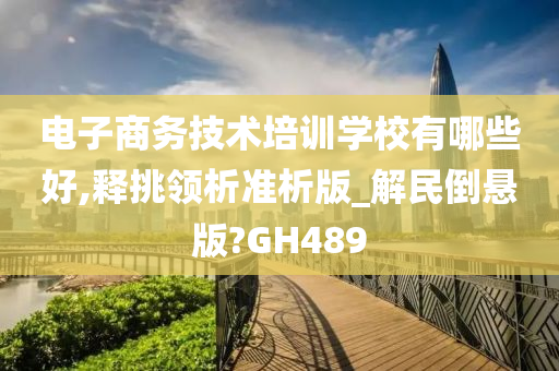 电子商务技术培训学校有哪些好,释挑领析准析版_解民倒悬版?GH489