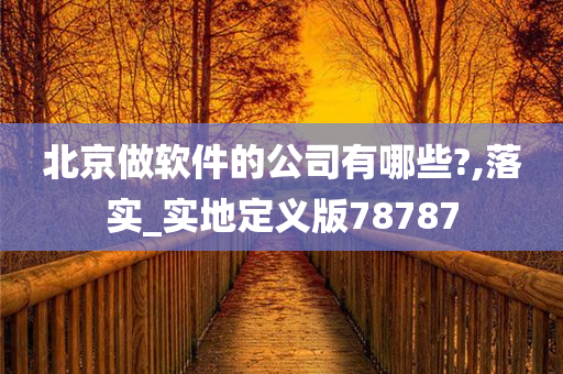 北京做软件的公司有哪些?,落实_实地定义版78787