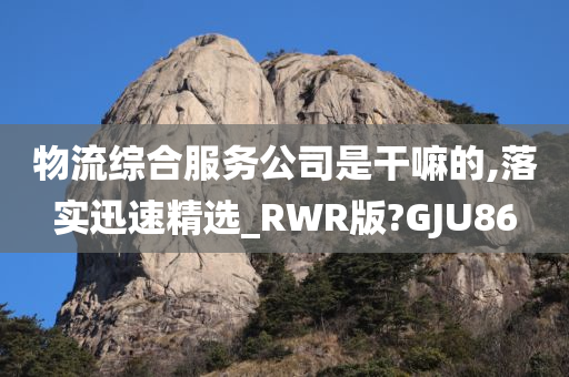 物流综合服务公司是干嘛的,落实迅速精选_RWR版?GJU86