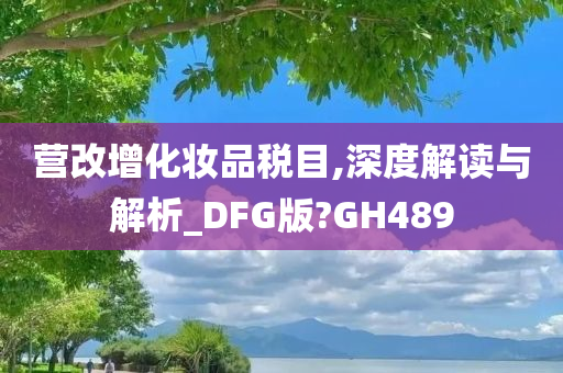 营改增化妆品税目,深度解读与解析_DFG版?GH489