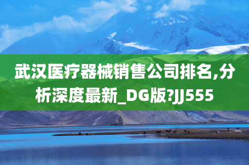 武汉医疗器械销售公司排名,分析深度最新_DG版?JJ555