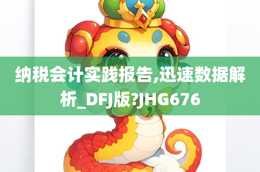 纳税会计实践报告,迅速数据解析_DFJ版?JHG676