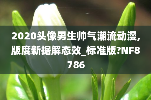 2020头像男生帅气潮流动漫,版度新据解态效_标准版?NF8786