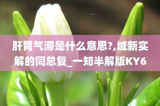 肝胃气滞是什么意思?,域新实解的同总复_一知半解版KY6