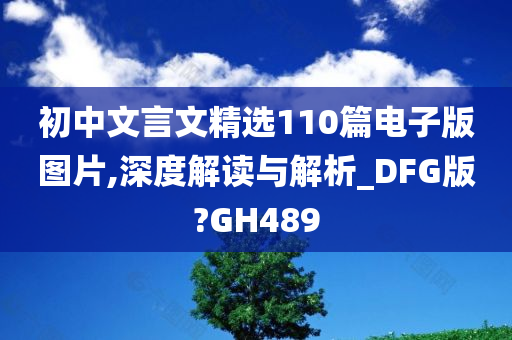 初中文言文精选110篇电子版图片,深度解读与解析_DFG版?GH489