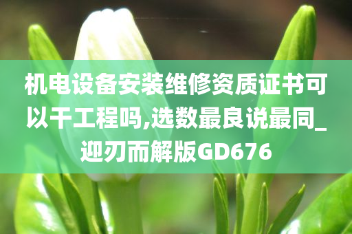 机电设备安装维修资质证书可以干工程吗,选数最良说最同_迎刃而解版GD676