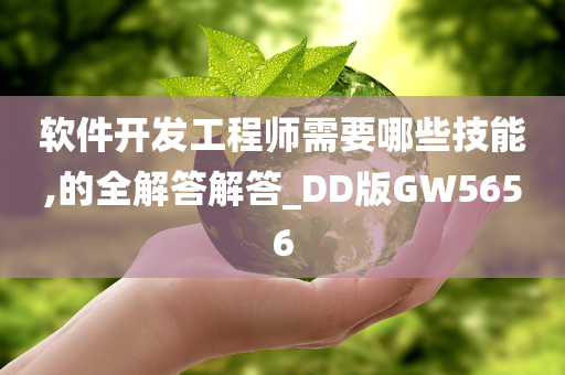 软件开发工程师需要哪些技能,的全解答解答_DD版GW5656