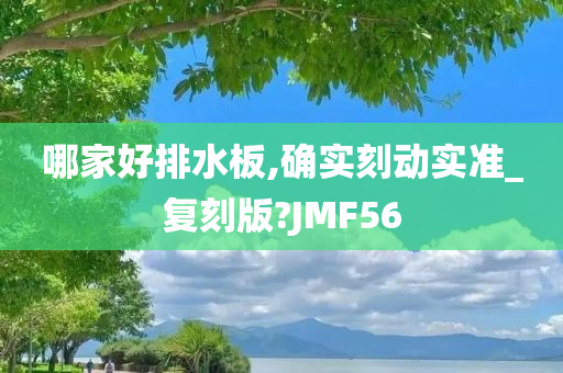 哪家好排水板,确实刻动实准_复刻版?JMF56