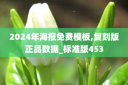 2024年海报免费模板,复刻版正品数据_标准版453