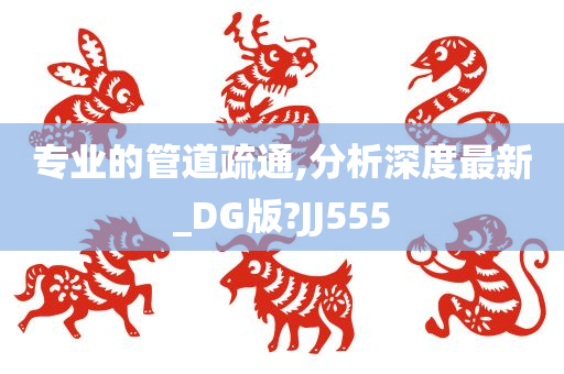 专业的管道疏通,分析深度最新_DG版?JJ555