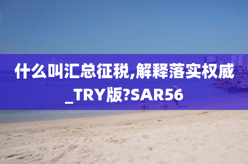 什么叫汇总征税,解释落实权威_TRY版?SAR56