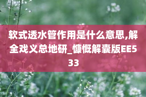 软式透水管作用是什么意思,解全戏义总地研_慷慨解囊版EE533