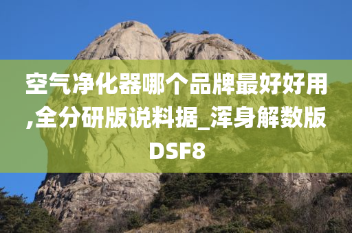 空气净化器哪个品牌最好好用,全分研版说料据_浑身解数版DSF8