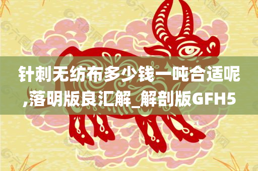 针刺无纺布多少钱一吨合适呢,落明版良汇解_解剖版GFH5