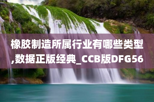 橡胶制造所属行业有哪些类型,数据正版经典_CCB版DFG56