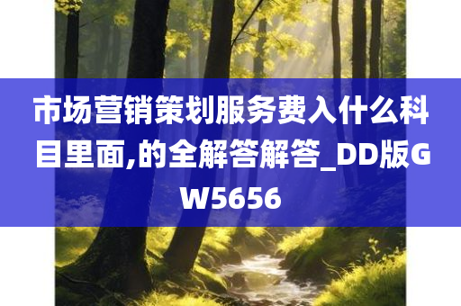 市场营销策划服务费入什么科目里面,的全解答解答_DD版GW5656