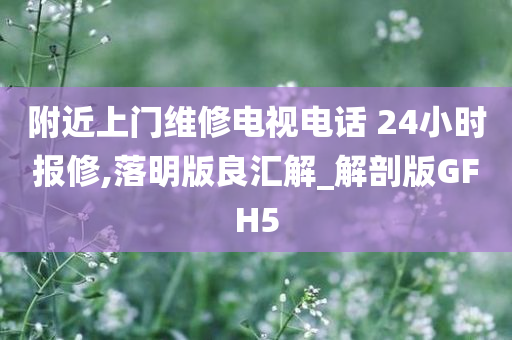 附近上门维修电视电话 24小时报修,落明版良汇解_解剖版GFH5