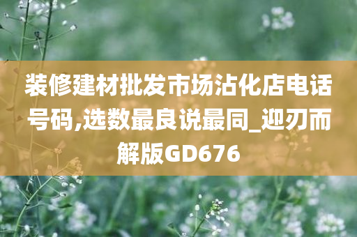 装修建材批发市场沾化店电话号码,选数最良说最同_迎刃而解版GD676