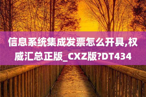 信息系统集成发票怎么开具,权威汇总正版_CXZ版?DT434